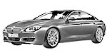 BMW F06 P210D Fault Code